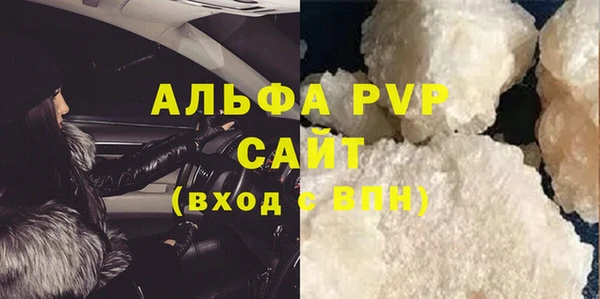 стаф Арсеньев