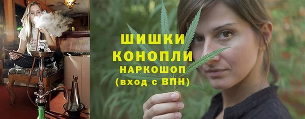 стаф Арсеньев
