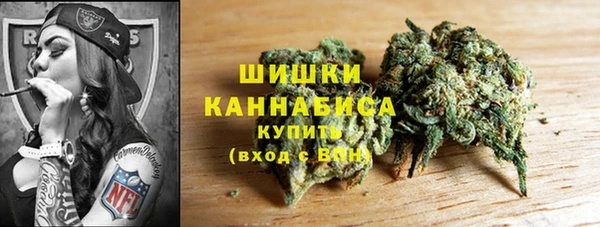 стаф Арсеньев