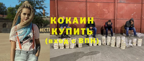 стаф Арсеньев