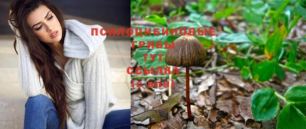гашик Армянск