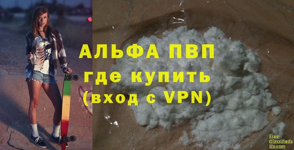 стаф Арсеньев