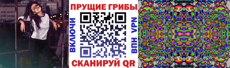 где можно купить наркотик  Сурск  omg ТОР  Псилоцибиновые грибы GOLDEN TEACHER 